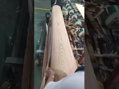 درخت بلوط ریو