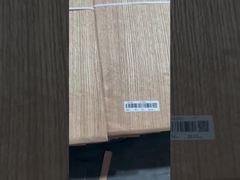 درخت بلوط ریو